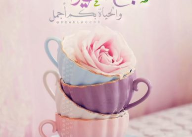 صباح الخير والحياة بكم أجمل صباح الورد تويتر - صور ورد وزهور Rose Flower images